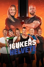 Season 4