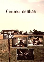 Poster Csonka délibáb 2015