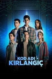 Kod Adı: Kırlangıç постер
