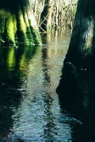 8 Seconds at the Three Sisters (1970)