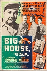 Big House, U.S.A. постер