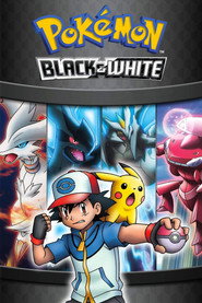 Pokémon: Best Wishes! Collection collection poster