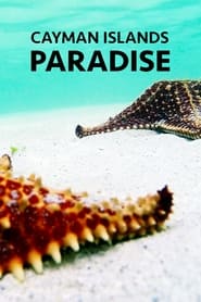 Cayman Islands: Paradise