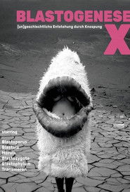 Blastogenesis X