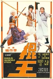 Shaolin Invincible Sticks постер