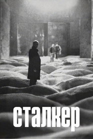 Сталкер постер