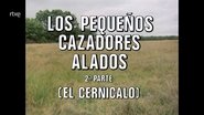 Episode 71