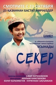 Poster Секер