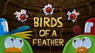 Birds of a Feather