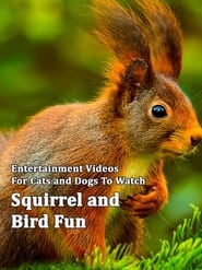 Squirrel and Bird Fun
