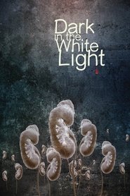 Poster Dark in the White Light 2015
