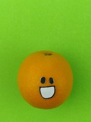 The Adventures of Oscar the Orange The Adventures of Oscar the Orange