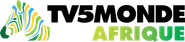 TV5 Monde Afrique