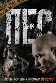 Poster Dog - Season 3 2021