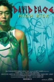 David Choe: High Risk movie