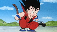 Goku's Traffic Safety