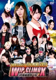Tofu Pro-Wrestling (2017)