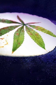 Cooked with Cannabis постер