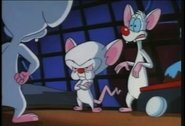 Pinky and the Brain - Episode 2x15