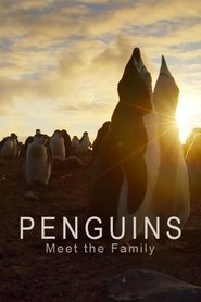 Penguins: Meet the Family (2020)