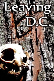 Leaving D.C. постер