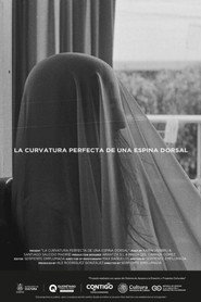 La curvatura perfecta de una espina dorsal