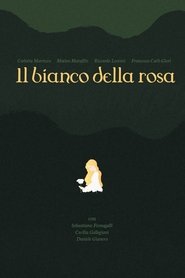 il bianco della rosa (2020)