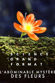 L'Abominable mystère des fleurs