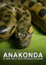 Poster Anaconda: Silent Killer 2014