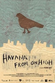 Havana, From On High (2019)