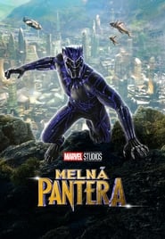 Melnā Pantera (2018)