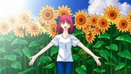 Kohaku Route