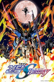 Mobile Suit Gundam SEED Mobile Suit Gundam SEED Destiny 8