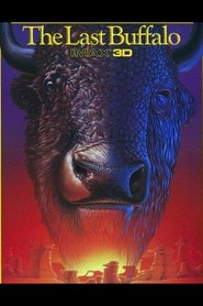 Poster The Last Buffalo