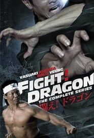 Fight! Dragon! Episode Rating Graph poster