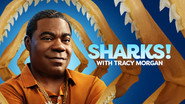 Sharks! with Tracy Morgan