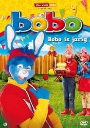 Poster Bobo - Bobo is jarig 2011