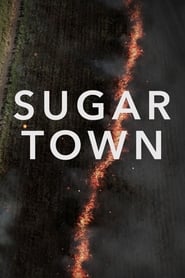 Poster Sugar Town