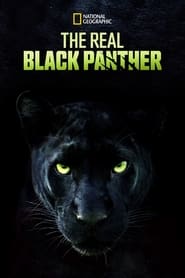 The Real Black Panther (2020)