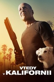Vtedy v Kalifornii (2017)