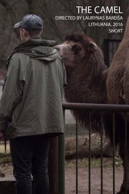 Poster The Camel 2016