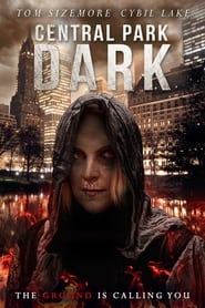 Central Park Dark постер