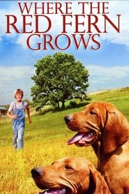 Poster Where the Red Fern Grows 1974
