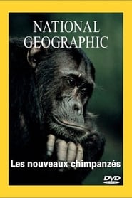 National Geographic Les nouveaux chimpanzes streaming