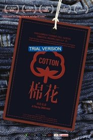 Poster Cotton 2014