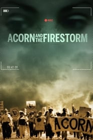 Acorn and the Firestorm (2018) Online Cały Film Lektor PL