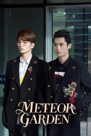 Meteor Garden постер