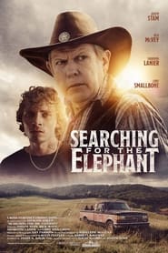 Poster Searching for the Elephant