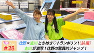 Afsnit 28