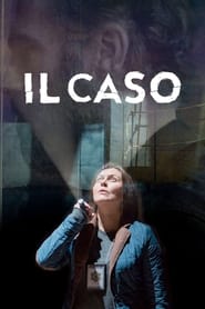 Il caso